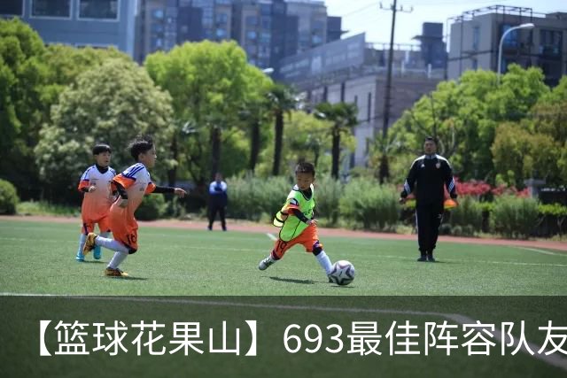 【篮球花果山】693最佳阵容队友多，就算抱大腿？