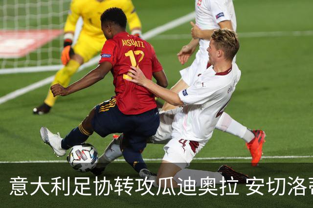 意大利足协转攻瓜迪奥拉 安切洛蒂已拒绝 选帅进入倒计时