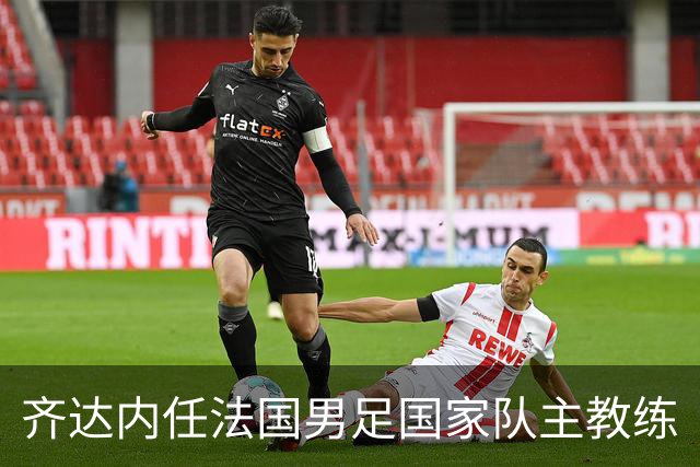 齐达内任法国男足国家队主教练